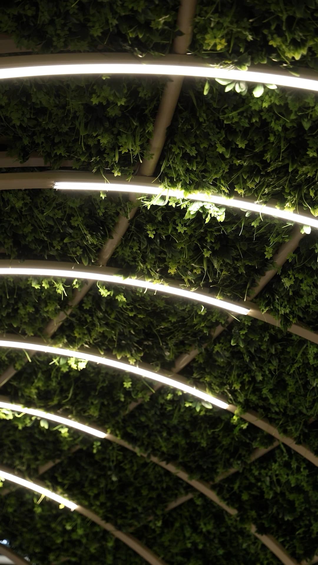 Armenia Garden image 5